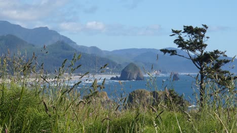 Blick-Vom-Ecola-State-Park-Auf-Cannon-Beach-Durch-Das-Hohe-Gras