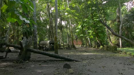 wide-shot-of-the-old-sugar-mill-at-Lamanai-