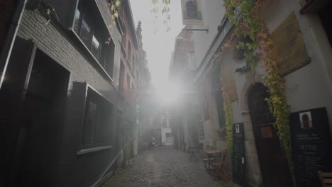 Ivy-Plants,-Cobblestone-Side-Street-in-Old-Town,-Tall-Buildings,-Dawn