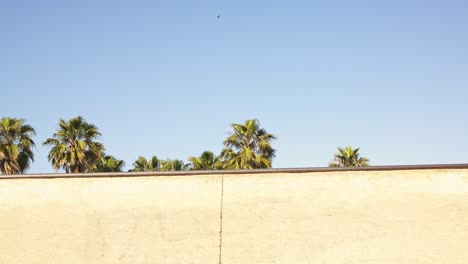 Mann-In-Skatepark-Schüssel-Rennt-Seitenwand-Hoch-–-Springt-An-Bord-Und-Reitet-In-Zeitlupe-Herunter