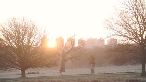 Young-And-Active-Man-Running-In-Richmond-Park-With-Bright-Sunshine-Shining-On-The-Bald-Trees-London,-England,-United-Kingdom