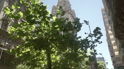 The-Palacio-Salvo,-the-emblematic-building-of-the-city-of-Montevideo-and-Uruguay,-is-seen-from-behind-a-tree-on-a-sunny-day