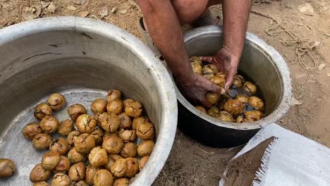 man-making-litti-in-the-traditional-Indian-way,-taking-litti-out-from-the-water-after-washing-them