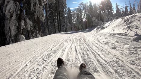fast-sleigh-ride-with-friends-through-a-sunny-winter-wonderland