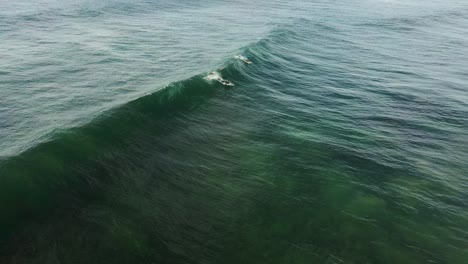 Two-surfers-catching-a-wave-on-Shelly-Beach-NSW-Australia