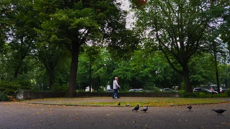 AMSTERDAM---AERIAL-AND-GROUND-FOOTAGE