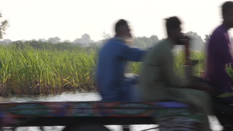 Shot-of-farm-crops-submerged-in-water-on-the-side-of-road-in-Sindh,-Pakistan-on-a-sunny-day