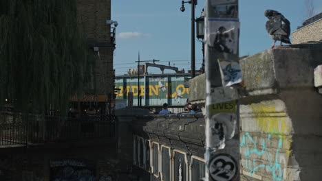 Taube-Hockt-Auf-Betonzaun-Entlang-Der-Hauptstraße-Von-Camden-Town-In-London,-Vereinigtes-Königreich