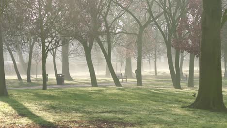 Ein-Junges-Mädchen-Joggt-Im-Park-Und-Hält-Eine-Flasche-Wasser-In-Der-Hand,-Während-Die-Sonne-Durch-Die-Neblige-Morgenluft-Scheint