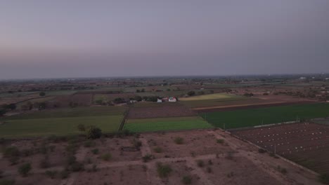 Aerial-view-of-large-sustainable-electrical-power-plant-with-rows-of-solar-photovoltaic-panels-for-producing-clean-electric-energy