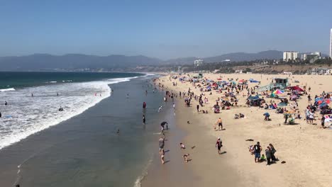 Menschen-Schwimmen-Am-Venice-Beach,-Los-Angeles