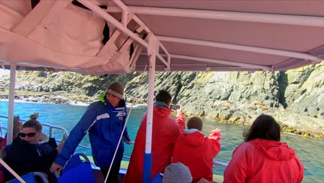 Bruny-Island,-Tasmania,-Australia---15-March-2019:-Boat-passengers-photographing-seals-on-a-rocky-outcrop-at-Bruny-Island,-Tasmania