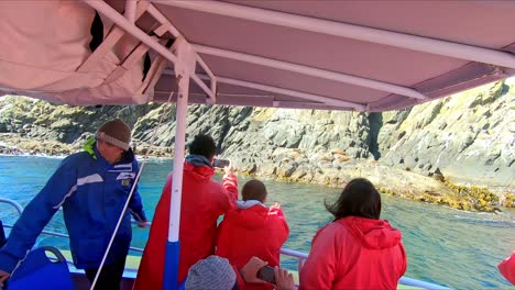 Bruny-Island,-Tasmania,-Australia---15-March-2019:-Tourists-photographing-seals-on-the-rocks-at-Bruny-Island-Tasmania