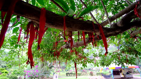 Una-Cinta-Roja-Auspiciosa-China-Cuelga-De-Las-Ramas-De-Los-árboles-Como-Señal-De-Buena-Fortuna-Y-Amuleto-De-La-Suerte-Con-El-Paisaje-De-Fondo