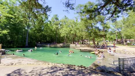 Los-Nadadores-Nadan-En-Ponce-De-León-Springs-En-Florida.