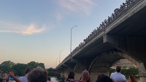 Grupos-De-Turistas-Se-Alinean-Para-Observar-Murciélagos-Bajo-El-Puente-De-La-Avenida-Del-Congreso-En-Austin,-Texas