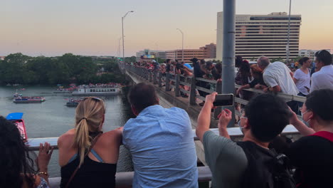 Touristen-Gehen-Fledermäuse-Und-Beobachten-Die-Congress-Avenue-Bridge-In-Der-Innenstadt-Von-Austin,-Texas