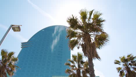 Hotel-W-Von-Barcelona-Blick-Hinter-Einer-Palme-Zeitlupe