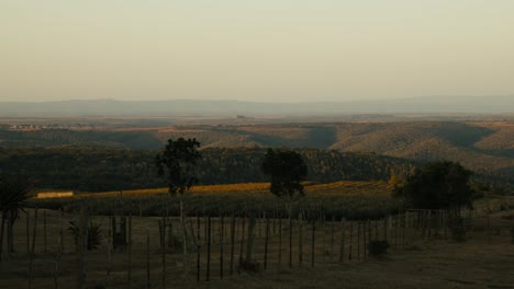 Malerisches-Offenes-Feld-Mit-Sundowner-In-Der-Afrikanischen-Landschaft