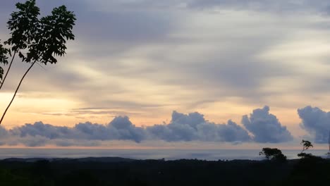 Silhouettes-of-dry-trees-on-tea-fields-in-Sukabumi-with-purple-sky