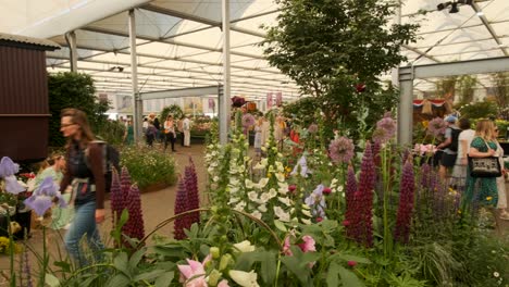 Panorámica-Sobre-La-Exhibición-De-Flores-Silvestres-En-El-Chelsea-Flower-Show