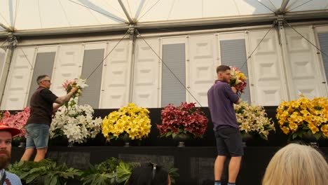 Arbeiter-Nehmen-Lilien-Aus-Büscheln,-Um-Sie-Auf-Der-Chelsea-Flower-Show-Zu-Verkaufen