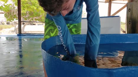 Niño-Saca-Una-Tortuga-Del-Tanque-De-Agua-En-El-Centro-De-Rescate-De-Vida-Silvestre-De-Tortugas-Los-Roques-Venezuela