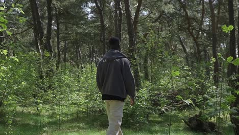 Hombre-Adulto-Joven-Caminando-En-El-Bosque-Verde