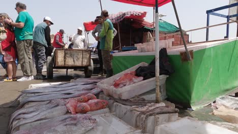 Low-angle-view-of-buying-and-selling-fish-in-the-market-in-Essaouira,-Morocco