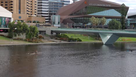 Mujer-Hembra-Remando-Un-Bote-De-Remos-En-El-Río-Torrens-Cerca-Del-Centro-De-Convenciones-De-Adelaida-Adelaida,-Australia-Del-Sur