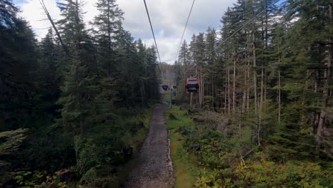 Blick-Von-Den-Gondeln-Der-Doppelmayr-Liftsysteme-Durch-Alten-Wald-Im-Eisigen-Strait-Point,-Hoonah,-Alaska