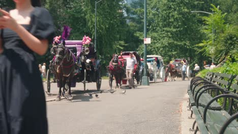 Una-Mujer-Vestida-De-Negro-Pasa-Junto-A-Carruajes-Tirados-Por-Caballos-En-La-Ciudad-De-Nueva-York,-Los-Turistas-Exploran-La-Ciudad