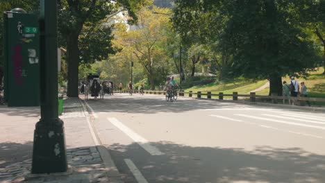 Lebhafter-Central-Park-Voller-Menschen,-Die-Sport-Treiben,-Herumlaufen,-Gehen,-Pendeln,-Statisch