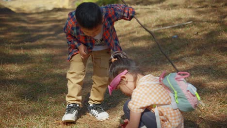 Two-children-are-looking-for-pine-cones-in-the-middle-of-the-natural-forest