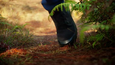 Close-up-of-a-man's-feet-walking-across-a-small-group-of-trees-in-a-wild-nature-forest