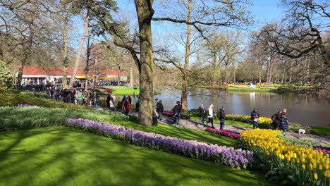 Schwenkaufnahme-Von-Besuchern,-Die-Im-Keukenhof-Park-Um-Den-See-Spazieren