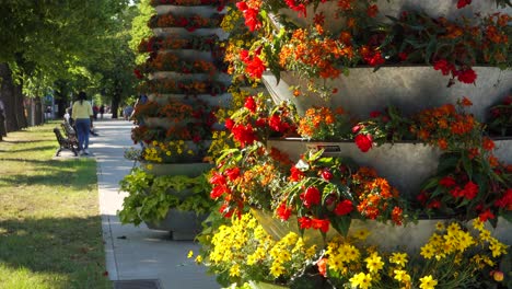 Close-up-view-of-summer-flowers-potted-in-large-flowerpots