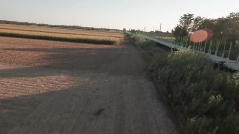 Aerial-drone-footage-captures-an-empty-cargo-train-journeying-through-expansive-golden-lit-cornfields-with-the-drone-flying-overhead,-showcasing-the-rural-landscape