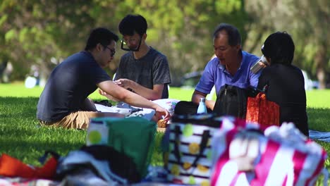 Familia-étnica-Asiática-Haciendo-Un-Picnic-En-Un-Parque-En-Un-Día-Soleado-En-Perth,-Australia-Occidental