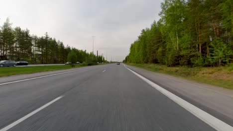 During-the-day,-cars-drive-along-the-road,-flanked-by-pine-forest-on-either-side