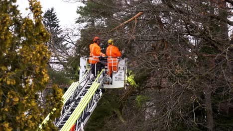 Intensa-Tormenta-En-Munich,-Alemania:-El-Departamento-De-Bomberos-Tala-árboles-Peligrosos-Cerca-De-Las-Casas,-Presentado-En-Una-Entrevista-Exclusiva-De-Noticias-Locales