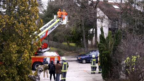 Noteinsatz-Der-Feuerwehr:-Bäume-Fällen,-Um-Wohngebäude-Gegen-Schwere-Sturmwinde-Und-Mögliche-Gefahren-In-München,-Deutschland,-Zu-Sichern