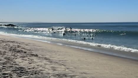 Imágenes-En-Alta-Definición-De-Personas-Jugando-En-La-Playa-En-Un-Hermoso-Día-Soleado