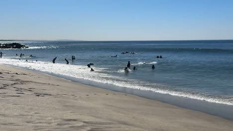 Imágenes-En-Alta-Definición-De-Personas-Jugando-En-La-Playa-En-Un-Hermoso-Día-Soleado