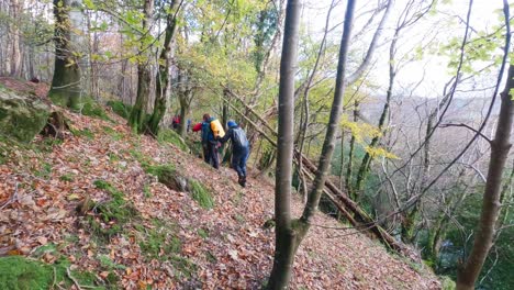 Senderismo-En-Irlanda-Grupo-Maduro-Caminando-Un-Día-De-Invierno-En-Un-Bosque-En-Las-Montañas-Comeragh-Waterford-Irlanda