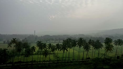 Aerial-drone-view-Drone-camera-moving-to-the-side-showing-large-fields-and-bushes-at-dusk