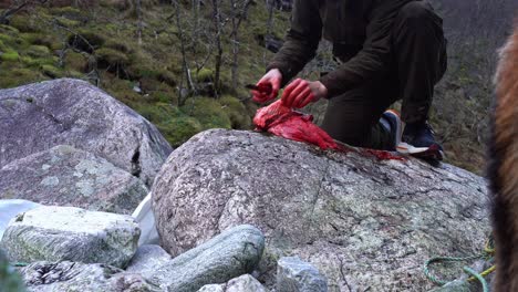 Hunter-cuts-deer-heart-from-lungs-with-sharp-knife,-lays-on-large-rock