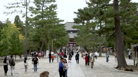 Auf-Dem-Weg-Zum-Todai-Ji-Namdaimon-Tummeln-Sich-Geschäftige-Menschenmassen