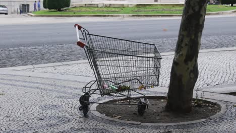 Carro-De-Compras-Con-Basura-Sentado-Bajo-Un-árbol-En-La-Acera-Frente-A-Una-Calle-Muy-Transitada