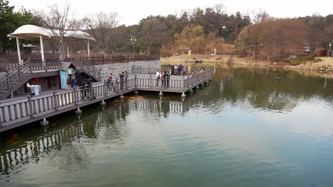 Asiatische-Menschen-Füttern-Die-Orangefarbenen-Fische-An-Einem-Teich